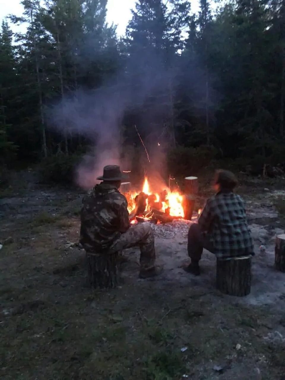 Bonfire area behind cabin