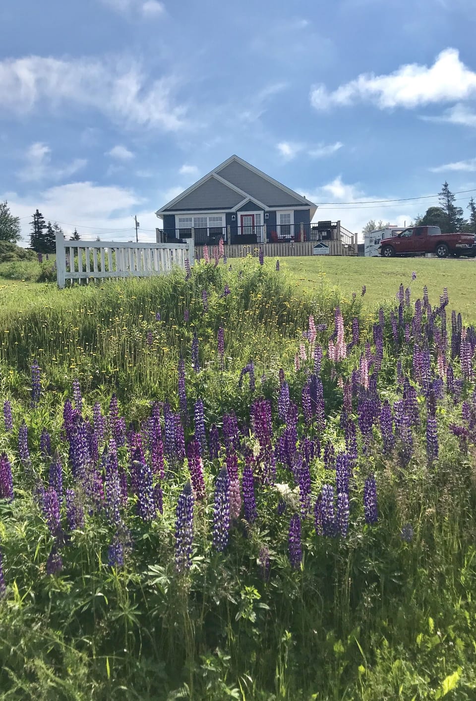 Front of cottage 