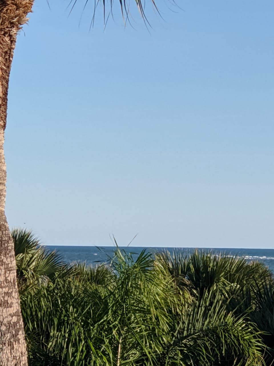 Balcony Ocean View