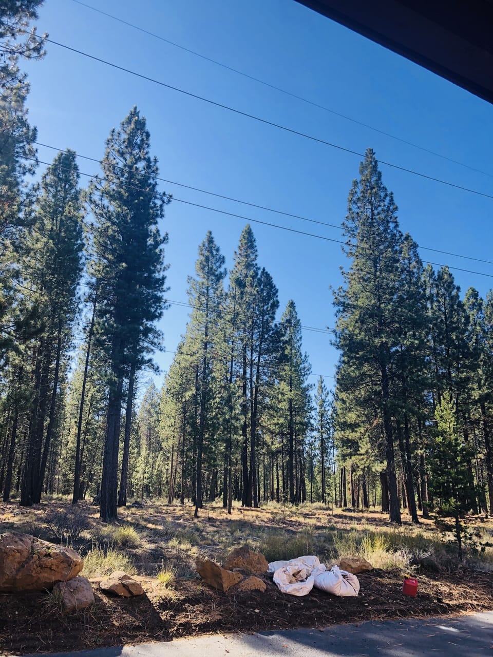 Summer view out of patio. 