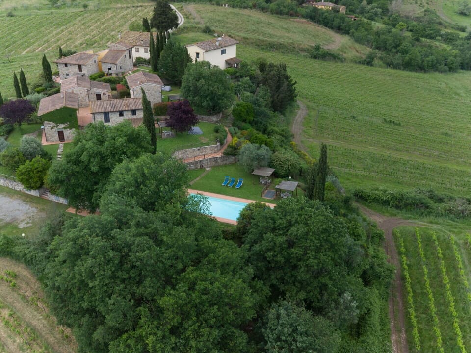 Estate, Residential Area, Human Settlement, Bird'S-Eye View, Cottage, Farmhouse, Plantation, Village, Food, Landscaping