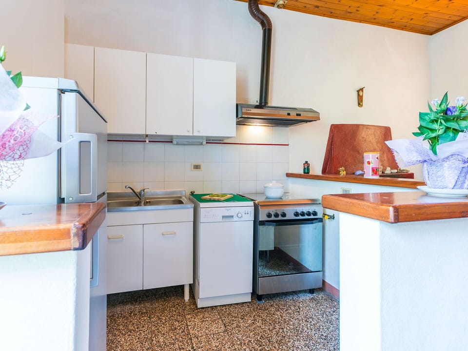Cabinetry, Property, Countertop, Sink, Kitchen Appliance, Kitchen Sink, Kitchen Stove, Kitchen, Lighting, Flowerpot
