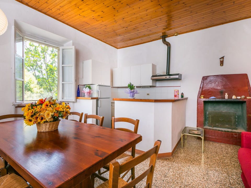 Flower, Table, Furniture, Property, Cabinetry, Plant, Window, Countertop, Interior Design, Wood