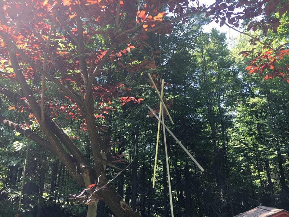 Marcel Floris sculptures in trees 