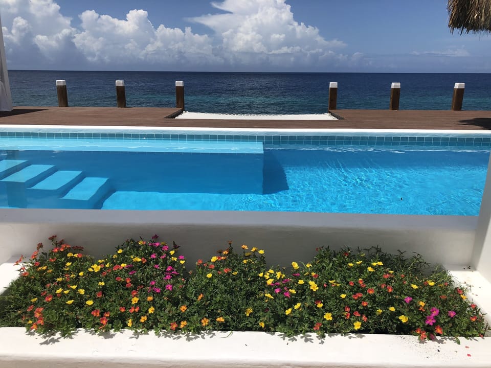 Private pool oceanfront.