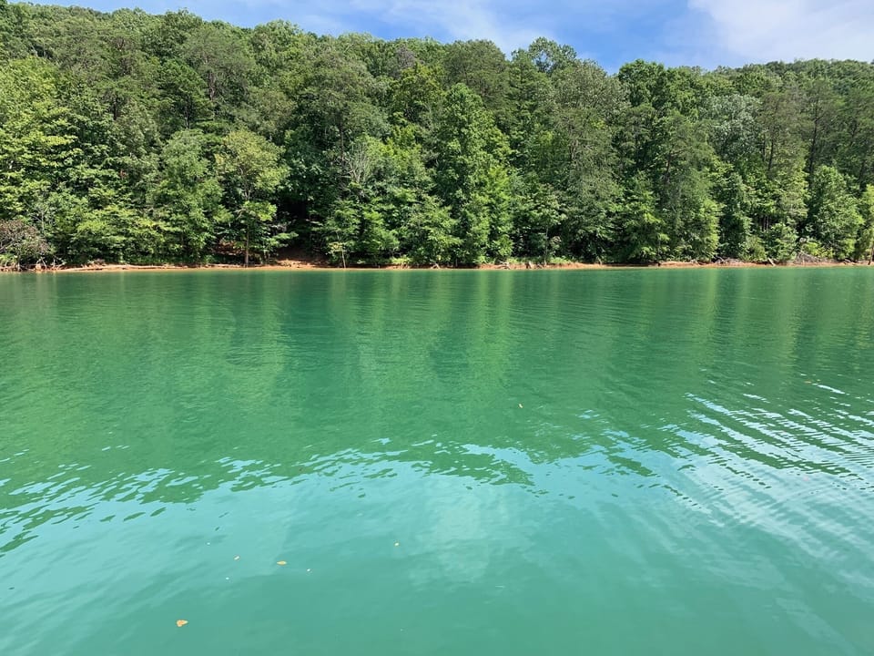View from the dock looking across the cove. Yes, the water is really that clear!