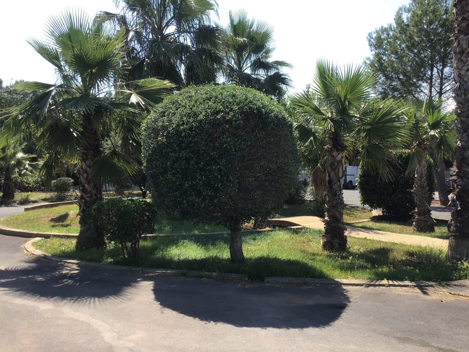 Property grounds