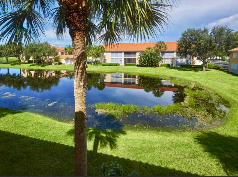 Lake view