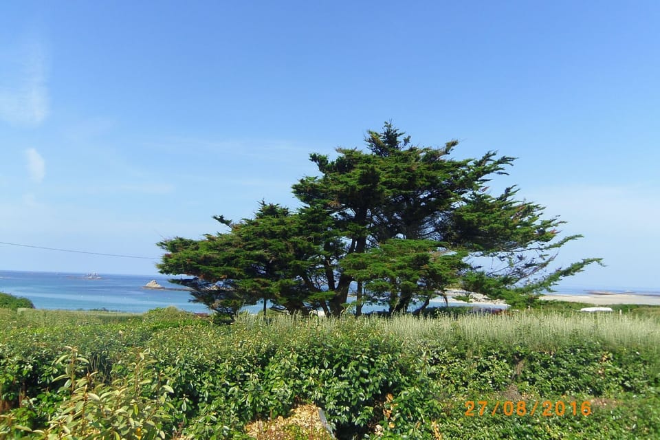 View from Holiday Home [summer]