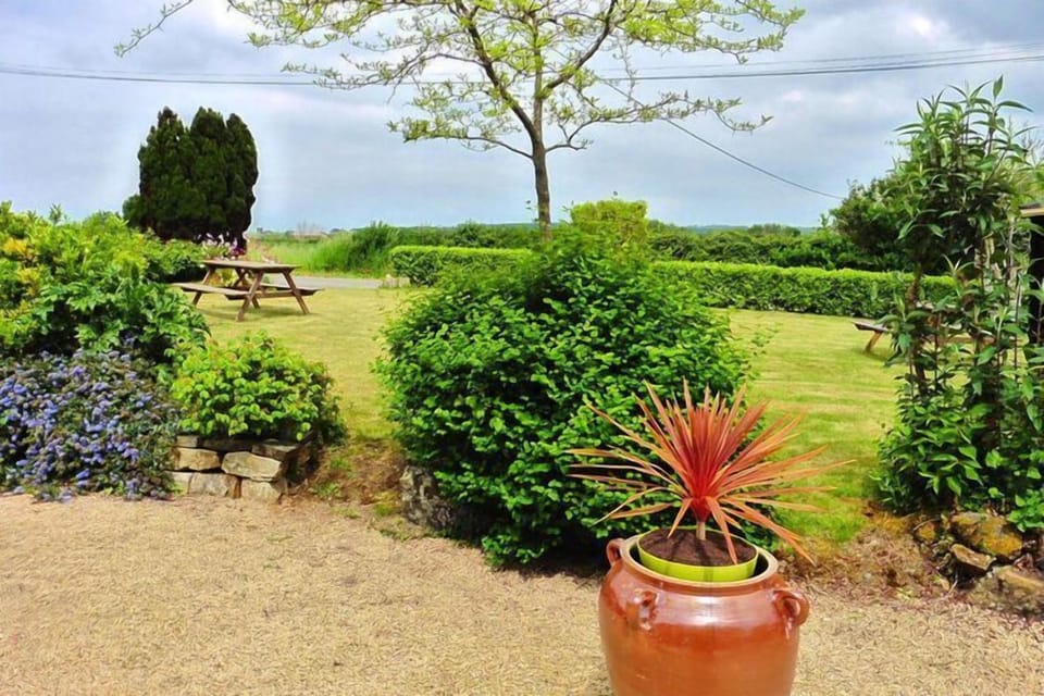 Garden [summer]