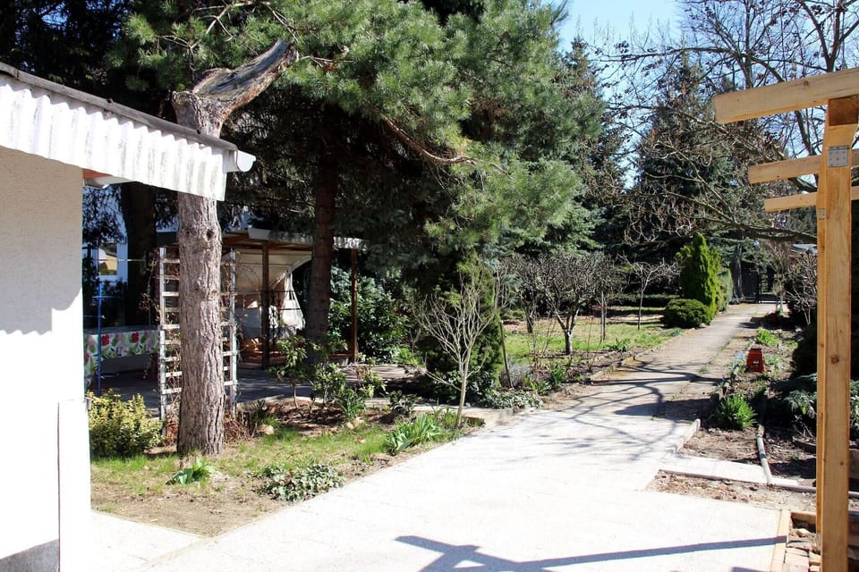 Garden [summer]
