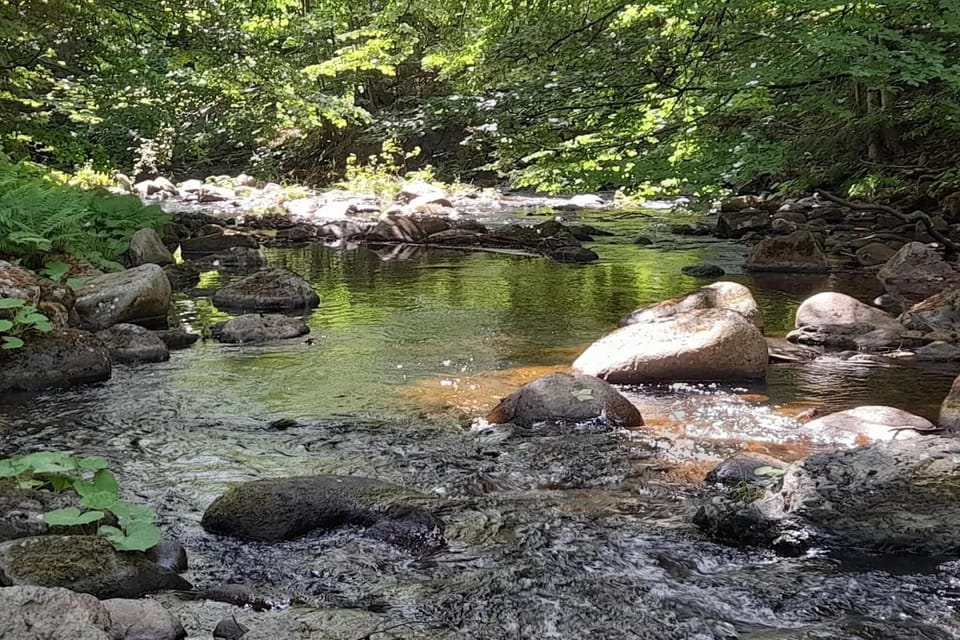 Surroundings [summer] (1-5 km)