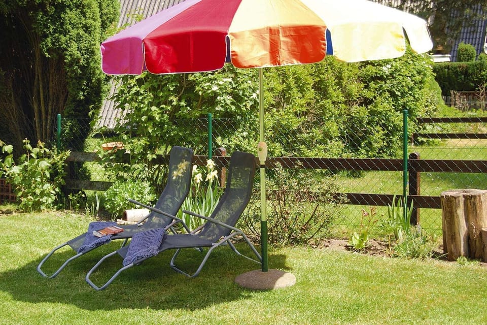 Garden [summer]