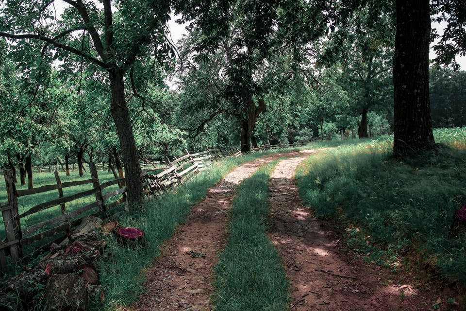 Surroundings [summer] (1-5 km)