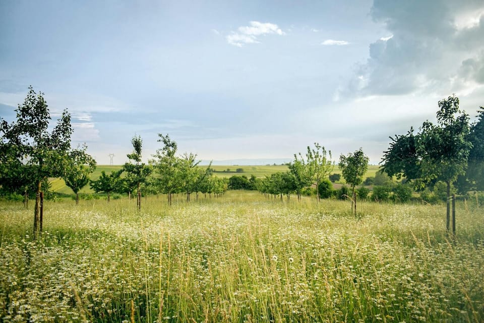 Surroundings [summer] (1-5 km)