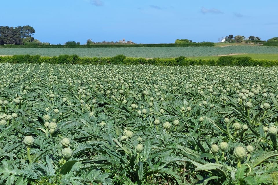 Immediate Surroundings [summer] (<1 km)