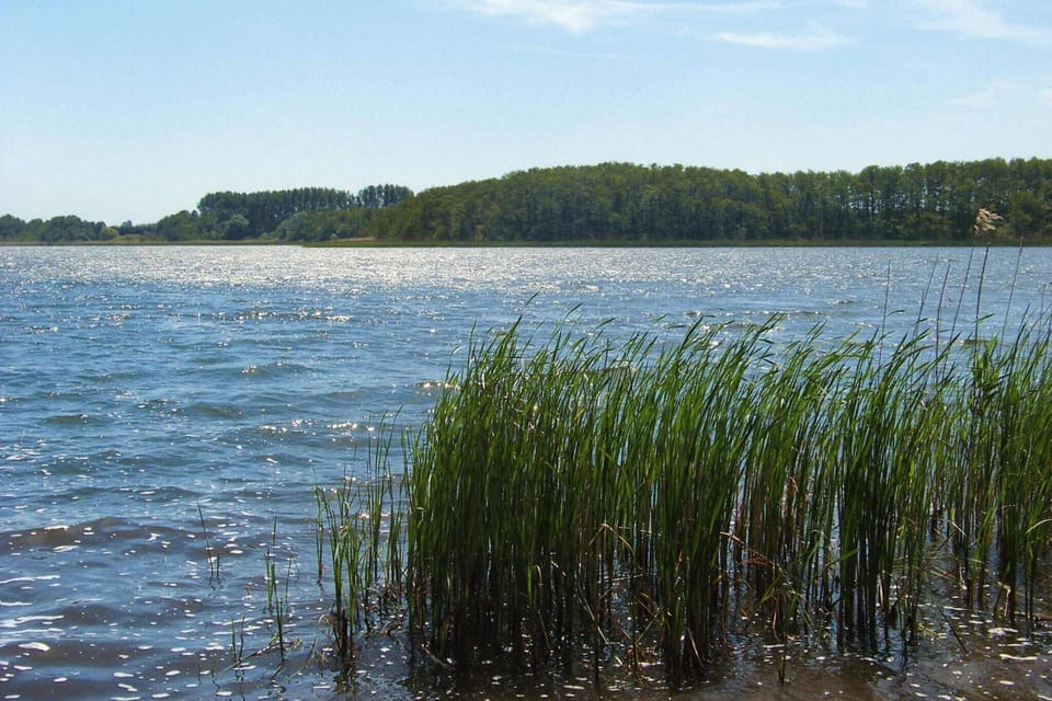 Surroundings [summer] (1-5 km)