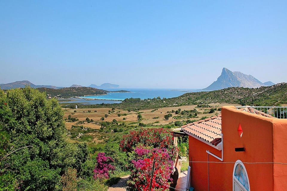 View from Holiday Home [summer]