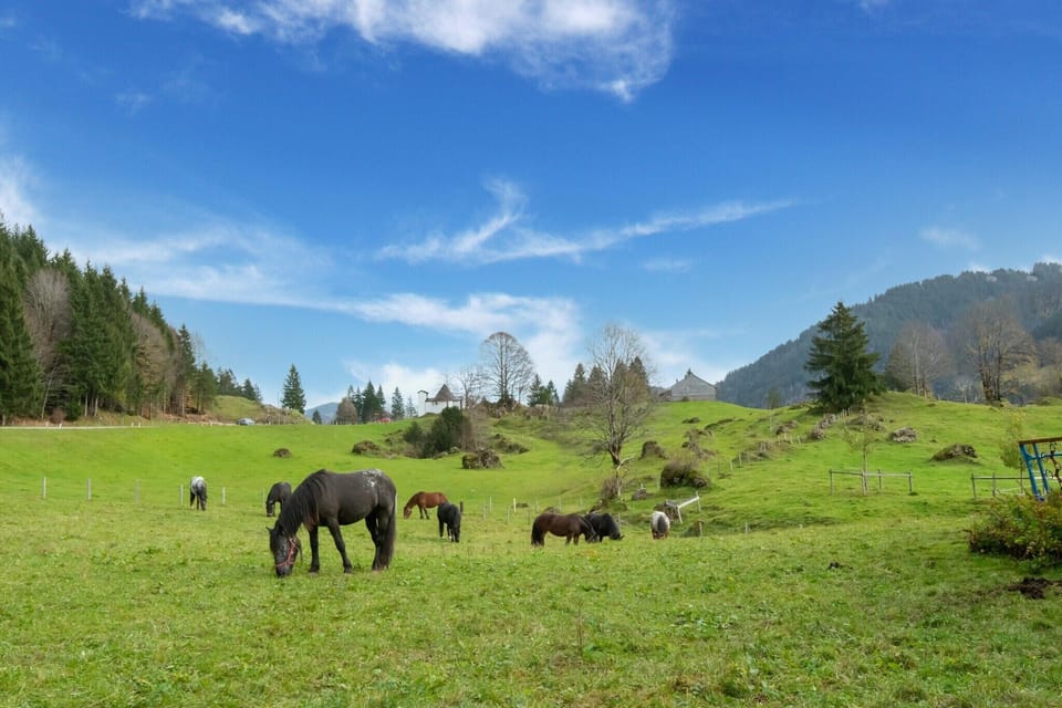 Surroundings [summer] (1-5 km)
