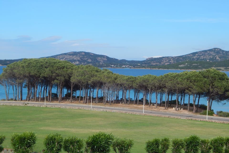 Immediate Surroundings [summer] (<1 km)