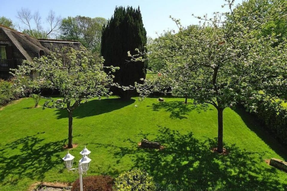 Garden [summer]