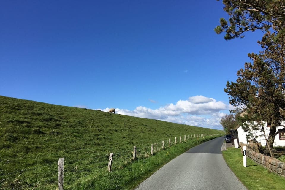 Immediate Surroundings [summer] (<1 km)