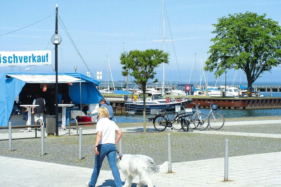 Surroundings [summer] (1-5 km)