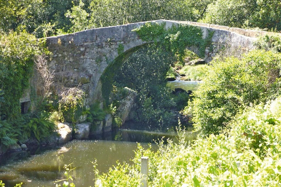 View from Holiday Home [summer]