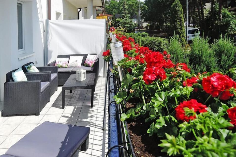 terrace