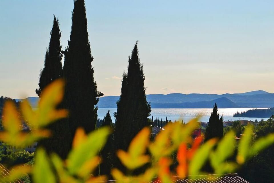 View from Holiday Home [summer]