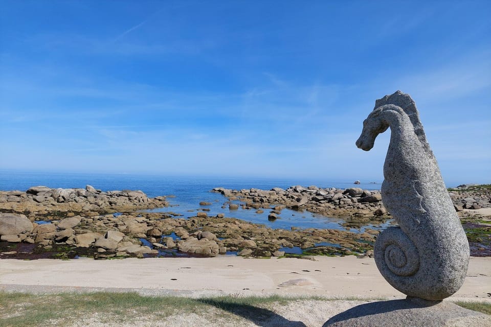 Region [summer] (>5 km)