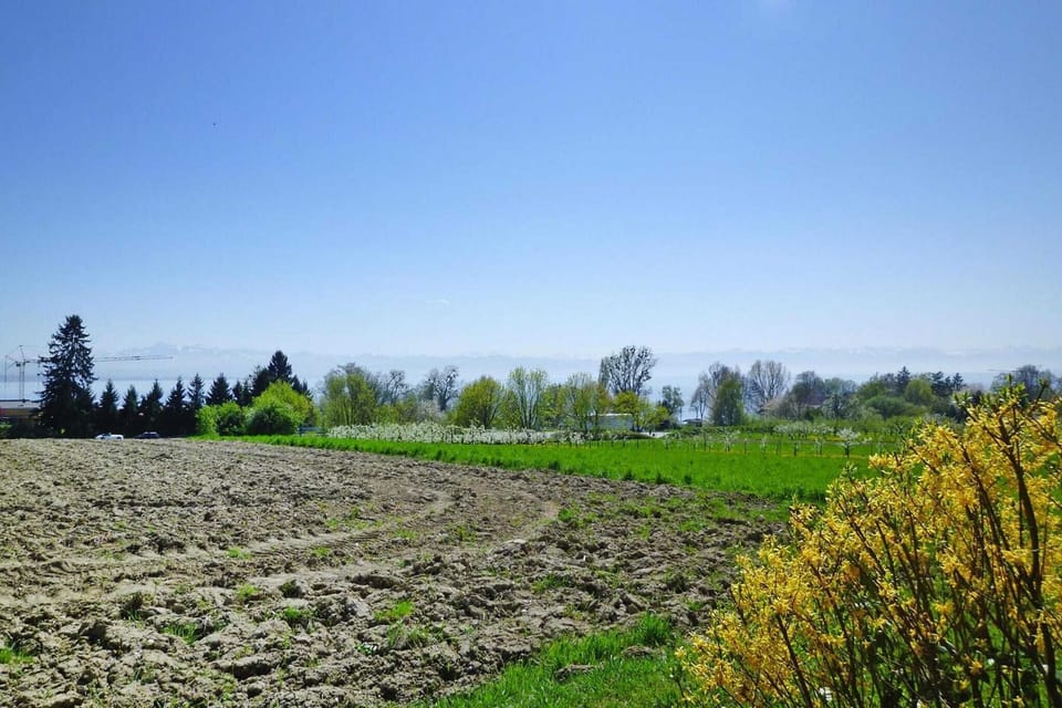 Surroundings [summer] (1-5 km)