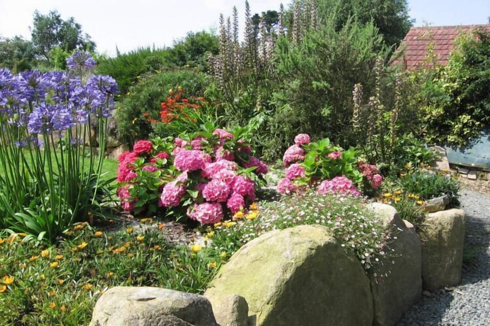Garden [summer]