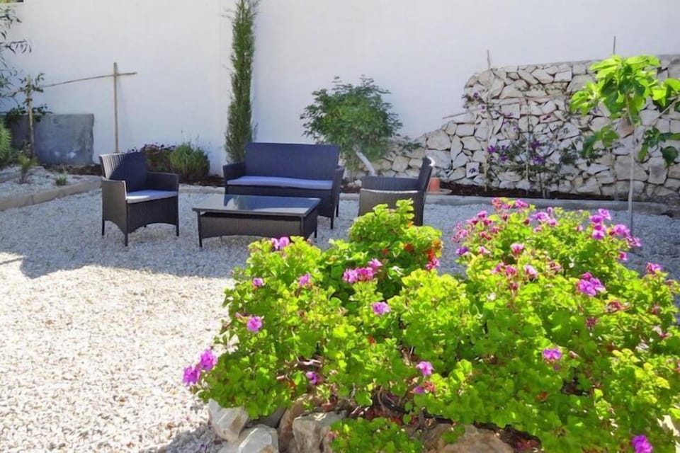 Garden [summer]
