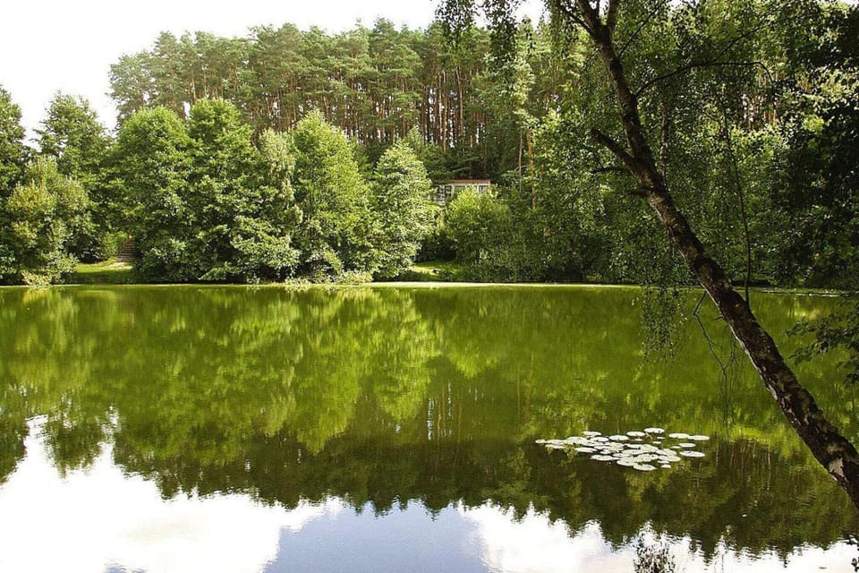 Surroundings [summer] (1-5 km)