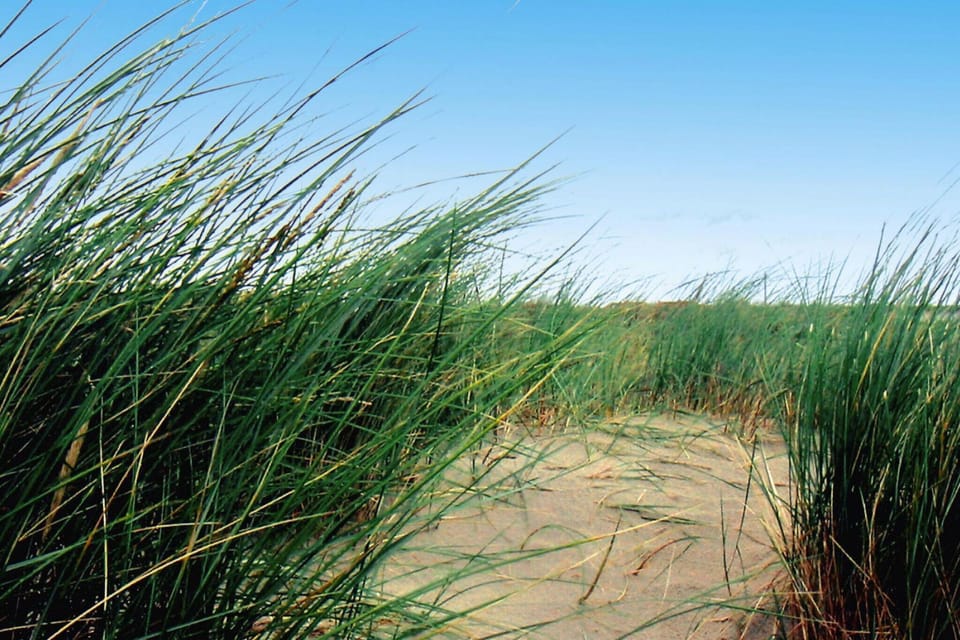 Surroundings [summer] (1-5 km)