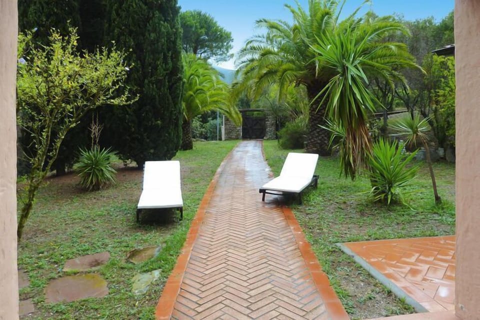 Garden [summer]