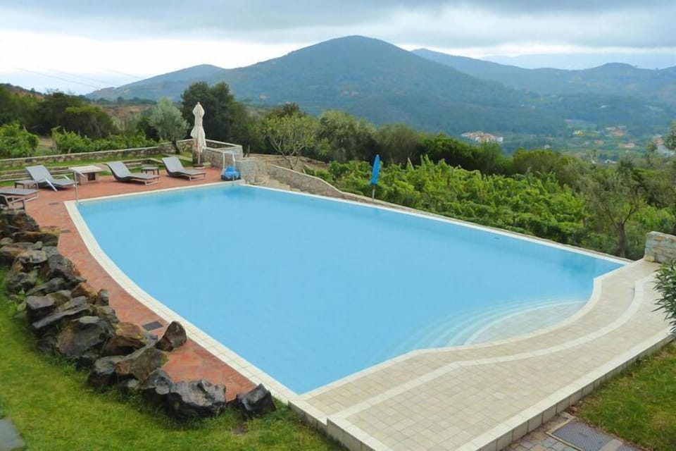 Holiday Home Swimming Pool