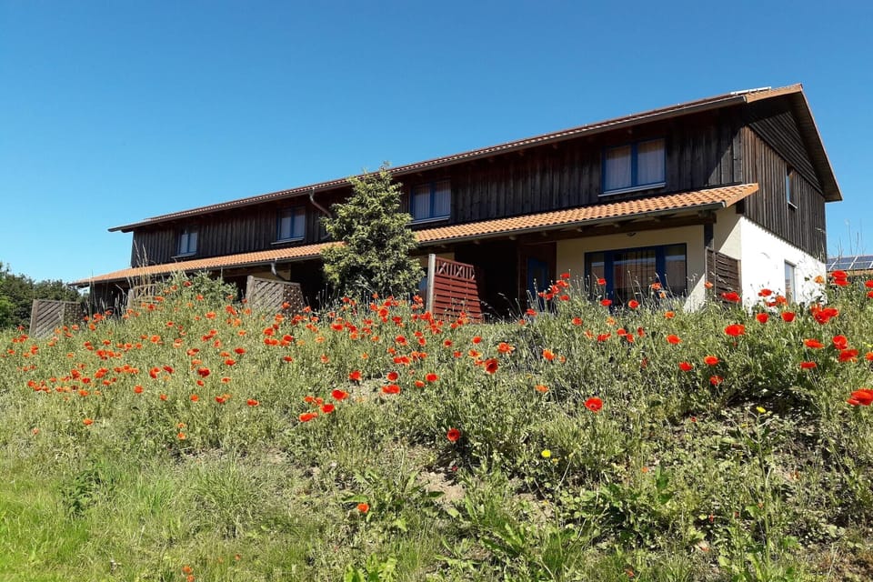Holiday Home Exterior [summer]