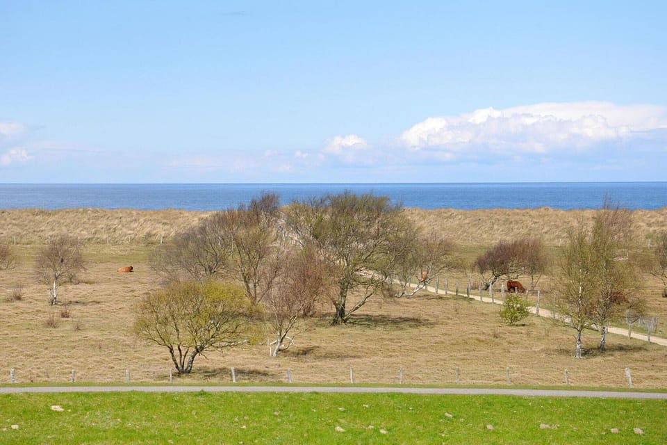 Immediate Surroundings [summer] (<1 km)