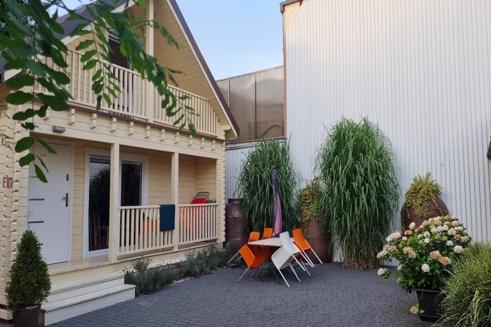 Garden [summer]