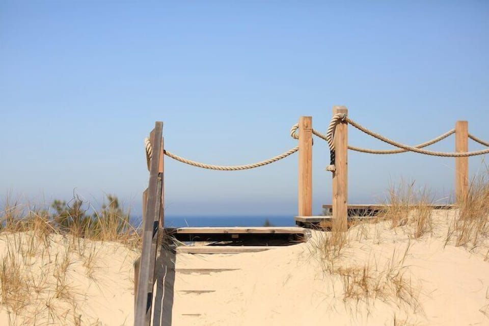 Region [summer] (>5 km)