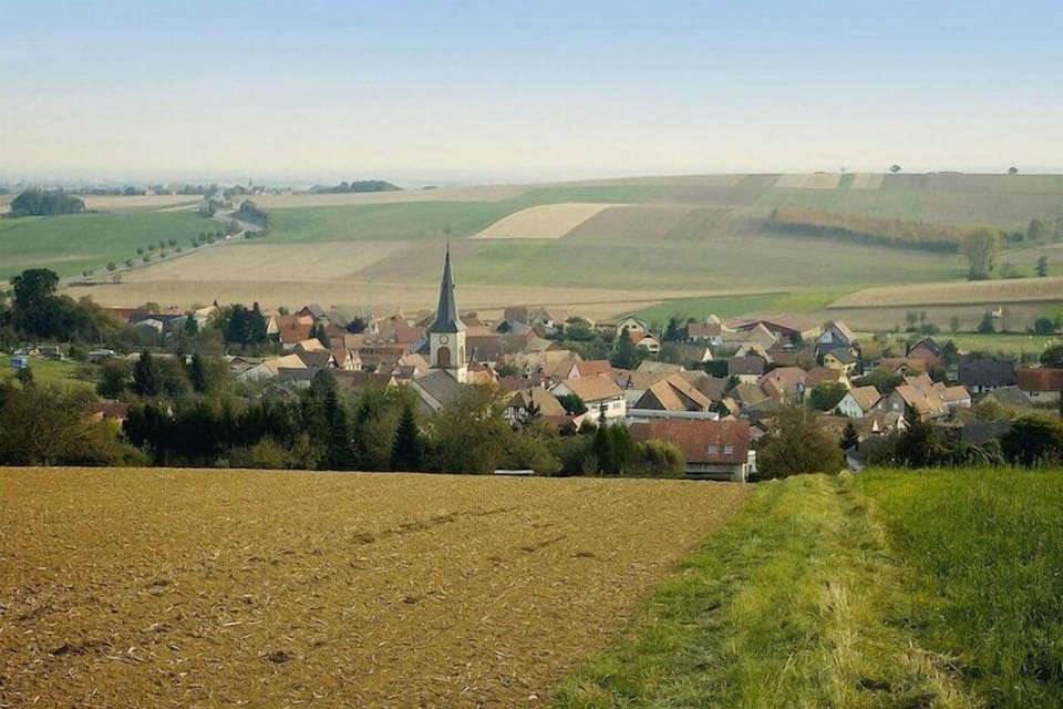 View from Holiday Home [summer]