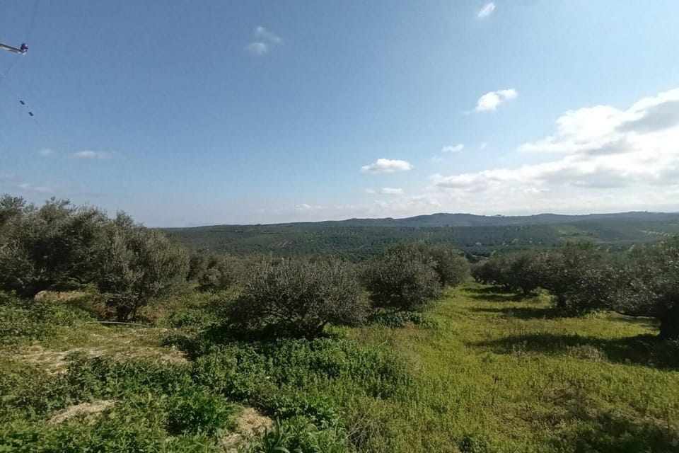 View from Holiday Home [summer]