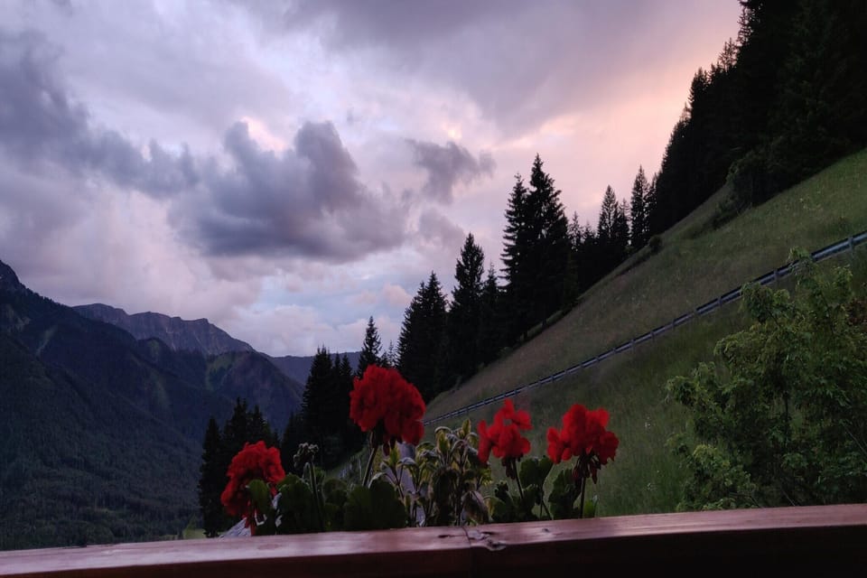 View from Holiday Home [summer]