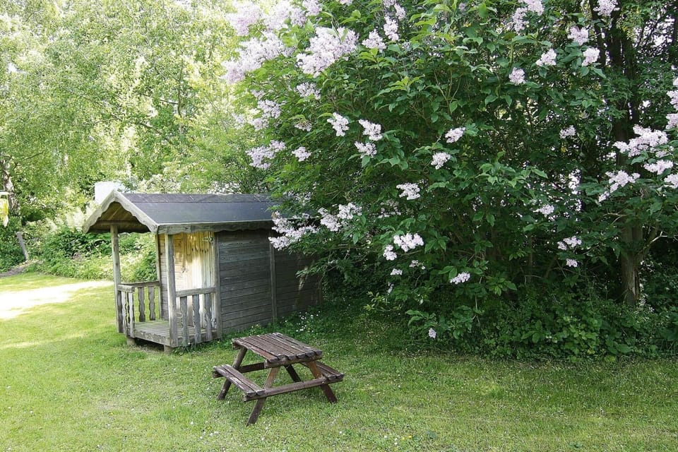 Garden [summer]