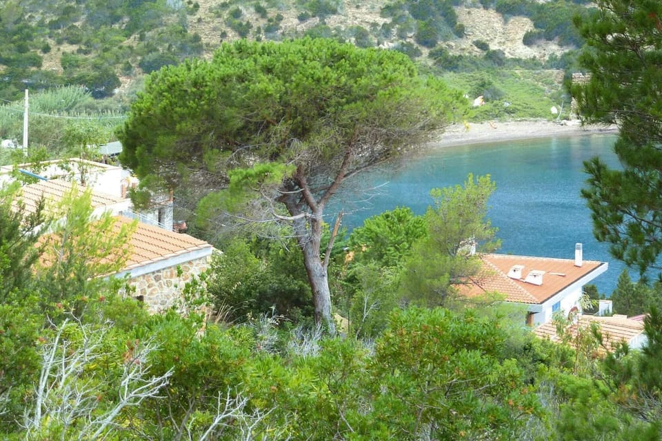 Immediate Surroundings [summer] (<1 km)
