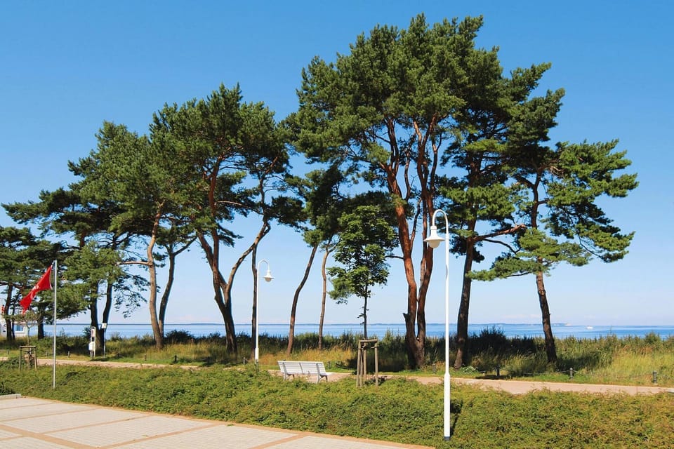 Immediate Surroundings [summer] (<1 km)
