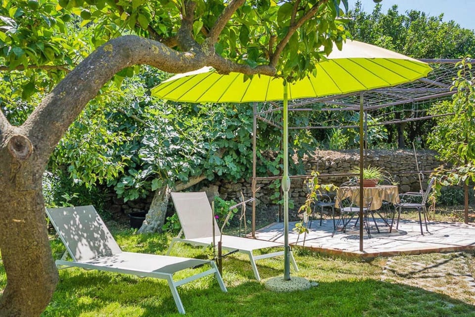 Garden [summer]