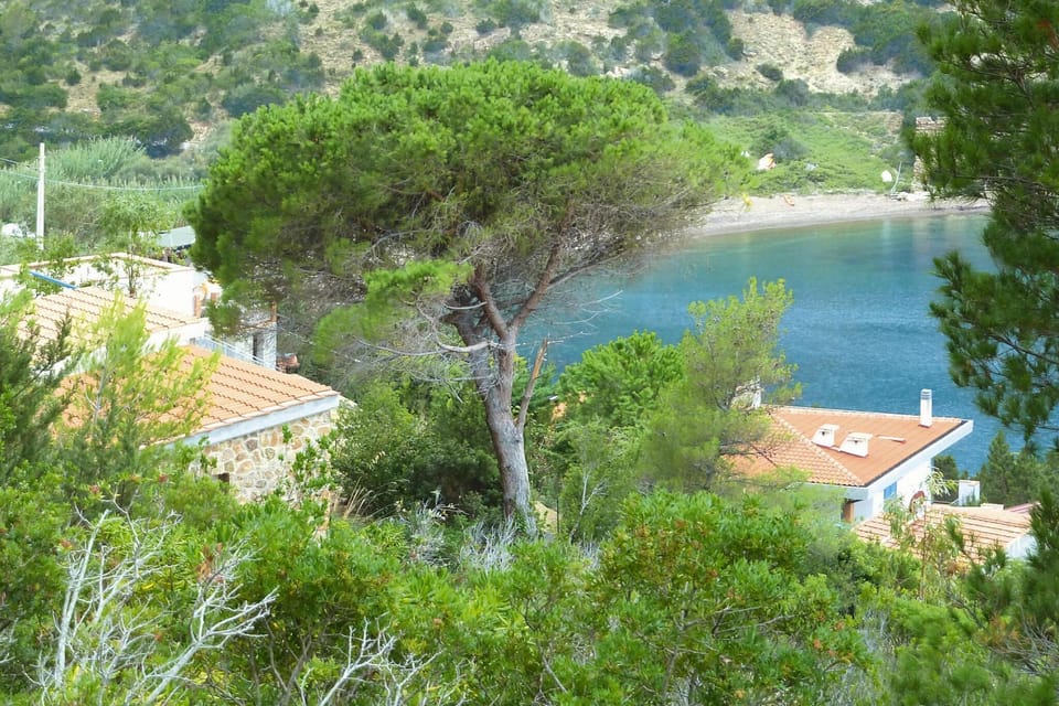 Surroundings [summer] (1-5 km)